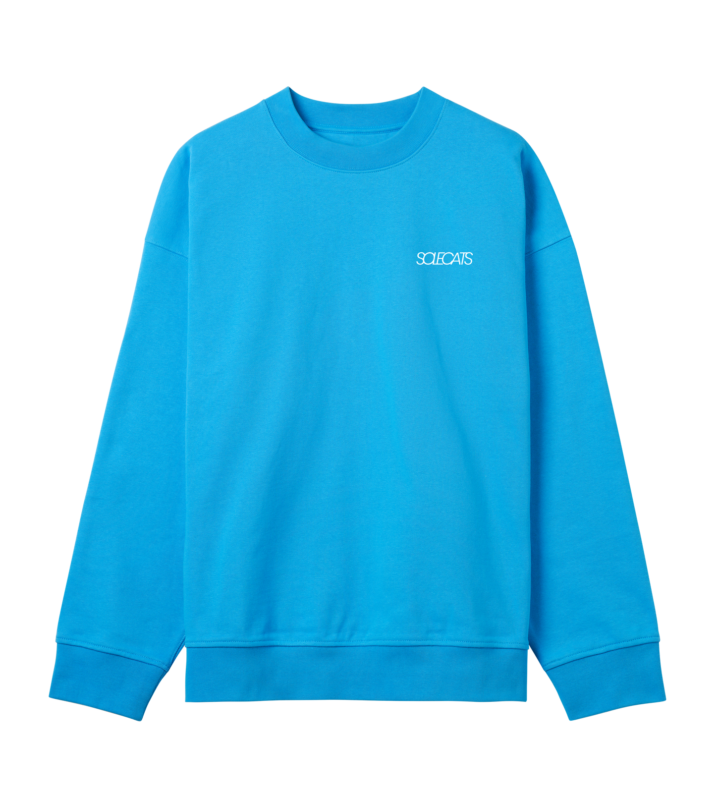 Mens Embrace Your Wild Side Oversized Sweatshirt